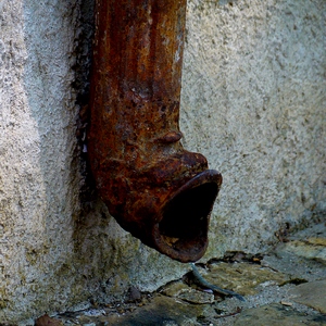 Bas de descente d'eau rouillée représentant une gueule d'naimal - France  - collection de photos clin d'oeil, catégorie rues